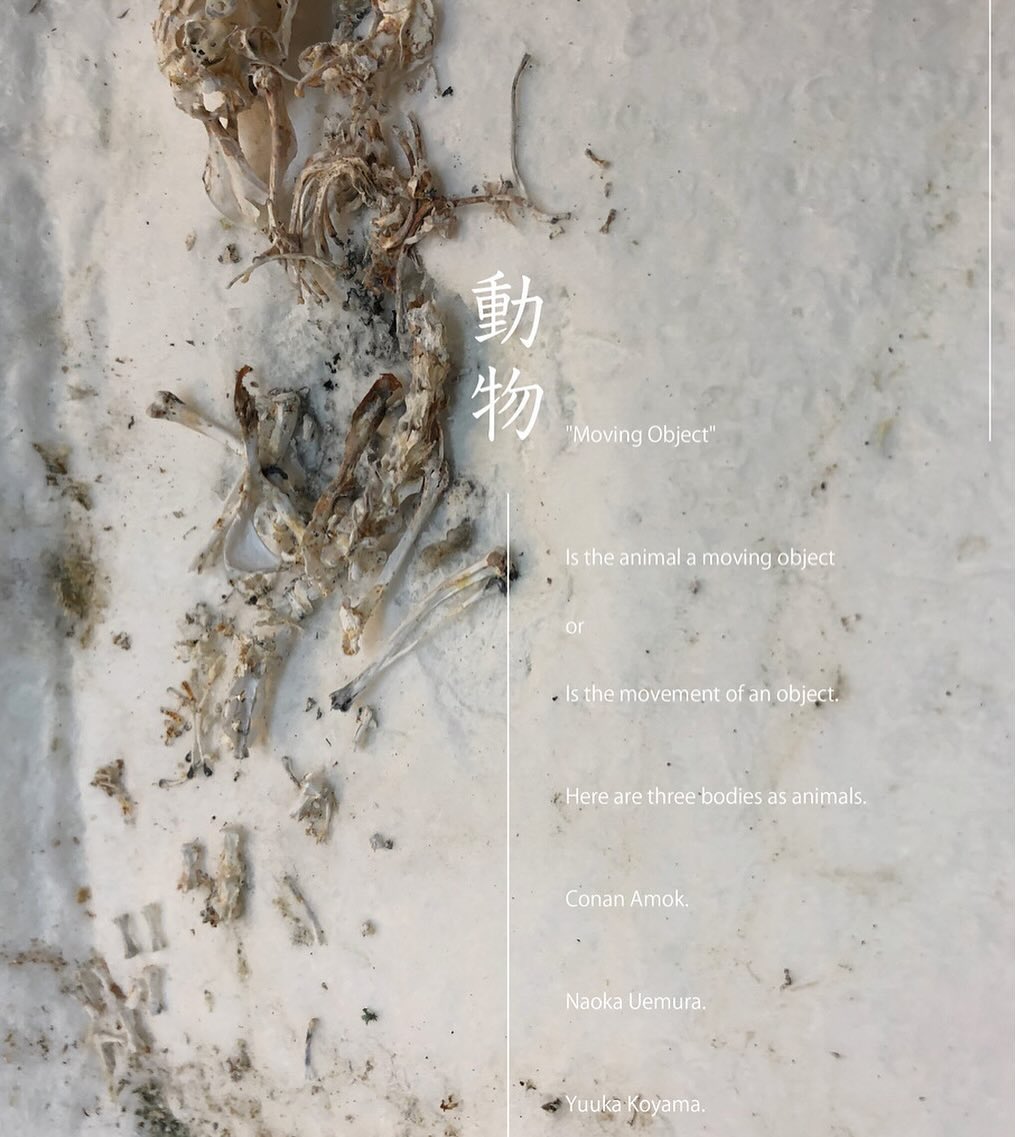 ◤📯 2024年 10月26日（土）
　中野テレプシコールにて開催！📯◢
.

小山柚香　ソロ公演
Yuuka Koyama Solo performance

【 Soggy Sole (ソギー・ソール) 】

Center line art festival Tokyo 2024 ClafT パフォーマンスプログラム 「動物」にて

- - - - - - - - - - - - - - - note

濡れてふやけた足のうら。
そのまま土の上を歩く。
汚し、また洗い流す、蓄積の茶色。

［きれい／きたない］が線引きされた社会の中で、
その蓄積だけが唯一、
身体を耕す糧となる。

- - - - - - - - - - - - - - -

／ 日時 ／
2024年 10月26日（土） 昼夜2回公演
① 15：00〜
② 19：00〜

／ 会場 ／
テルプシコール
東京都中野区中野3丁目49−15
※JR・東西線「中野駅」南口 徒歩７分。

／ 入場料 ／
一般　前売 3000円
学生　前売 2500円
※当日券は各500円増し。
※Center line art festival Tokyo 2024 ClafTパスのご提示で1000円割引。

- - - - - - - - - - - - - - -

◆本公演は中央線芸術祭のパフォーマンスプログラム「動物」の一企画として開催されます。
@claft_official 

自身初のソロ公演。
珍しく、しっかりとした劇場空間でのパフォーマンスです。
様々な気配や、物の動き
生き物の息づかいが聞こえてくるような空間にしたいと目論んでいます。🐒

観る前／観た後 で身体が解れるような
足の裏が豊かになるような🦶
そんな時間をお届けします。

是非体験しにいらしてください。

🌏チケットご予約はプロフィールのリンクからご購入or DMにてご連絡下さい。
⇨@yuuka_koyama 

#中央線芸術祭 #中野テレプシコール #contemporarydance #コンテンポラリーダンス